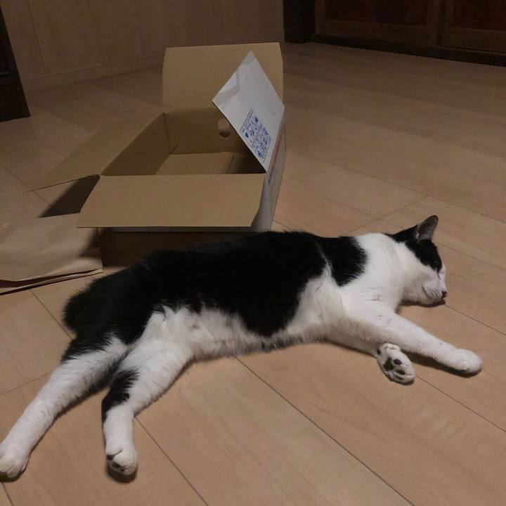 45872f7d 687b 4a96 afad b00f36b283db 1562431128489