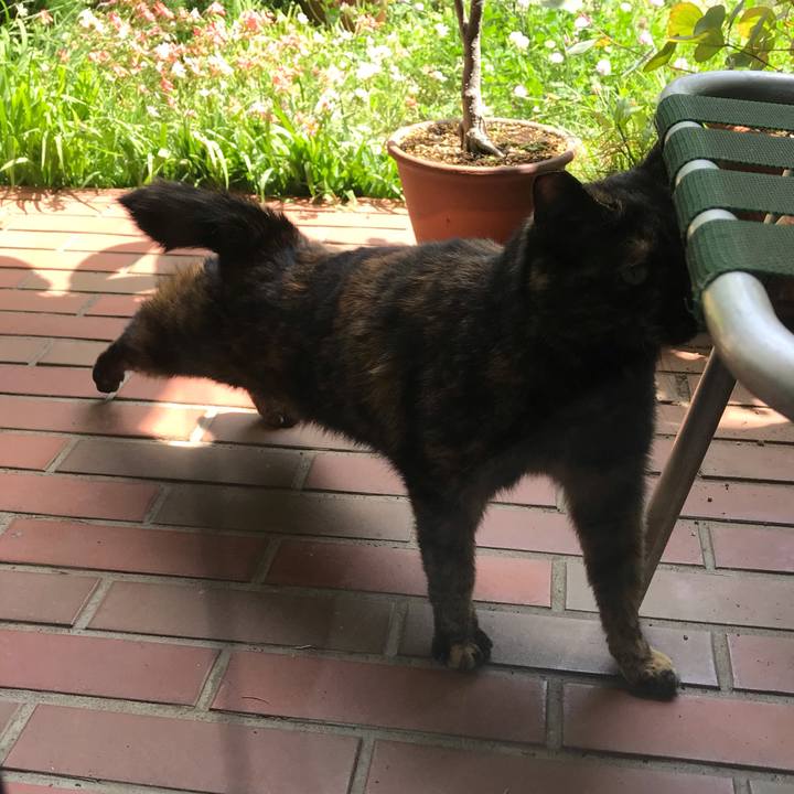 458761f9 b7fd 4668 aaa3 33799e8038a6 1620638544341