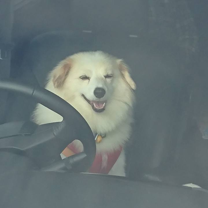 458763c8 c35c 4c23 9942 6dcf59f965df 1538778775565