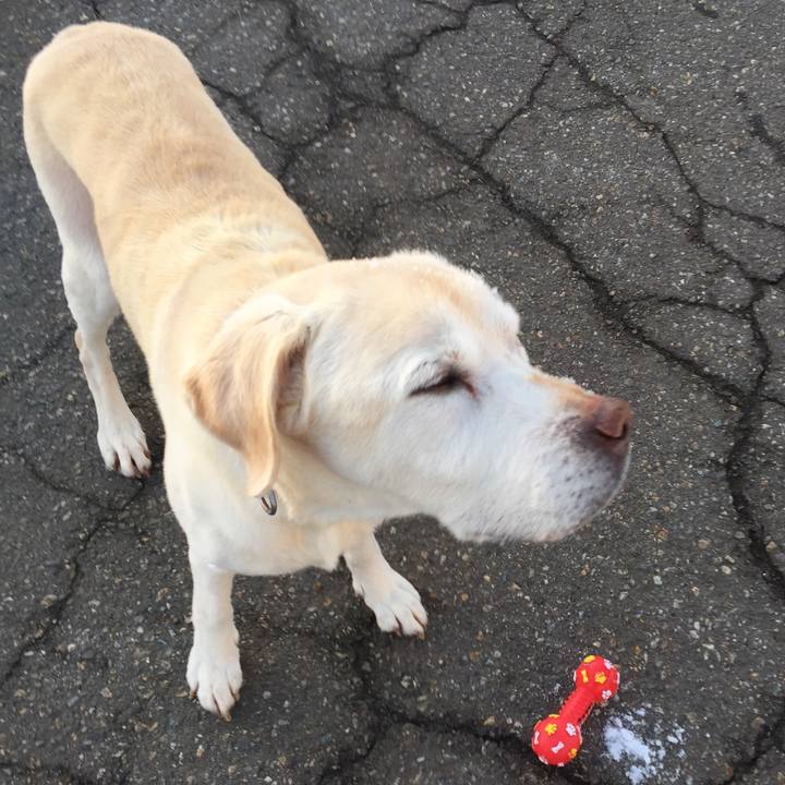 4587649e 59be 4528 9275 8f28ce3b8b67 1615346220392