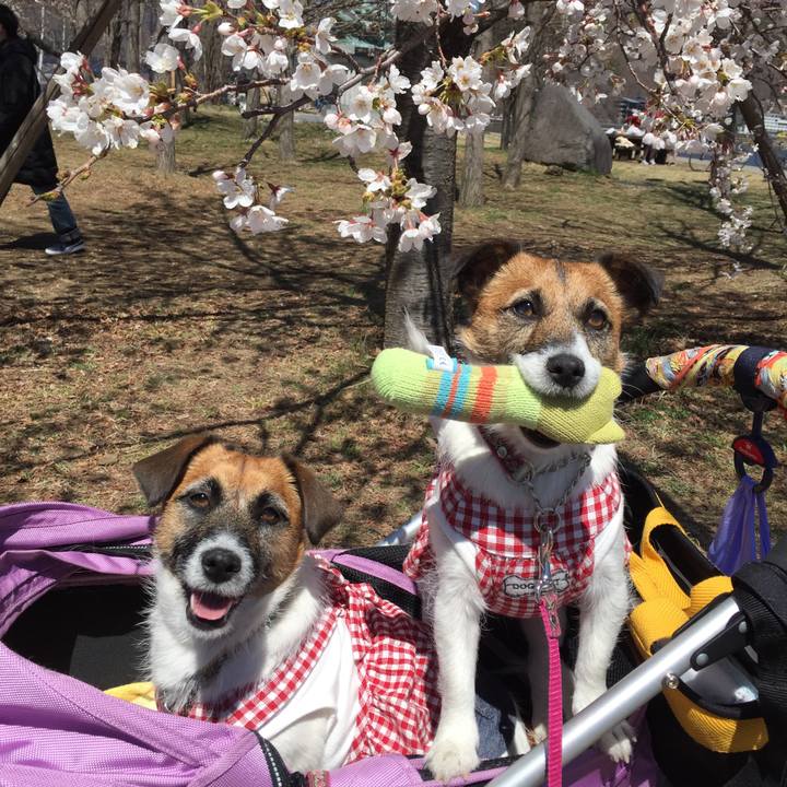 45876793 7592 41df 83d9 fcda3186e78a 1555423768458