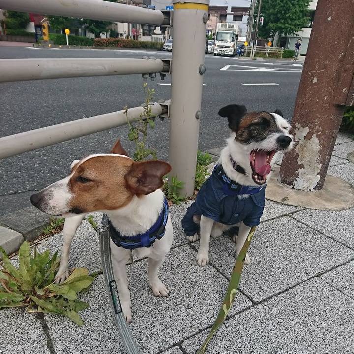 45879926 cbe7 4f2e b14b aaa5dee899cd 1525644244579