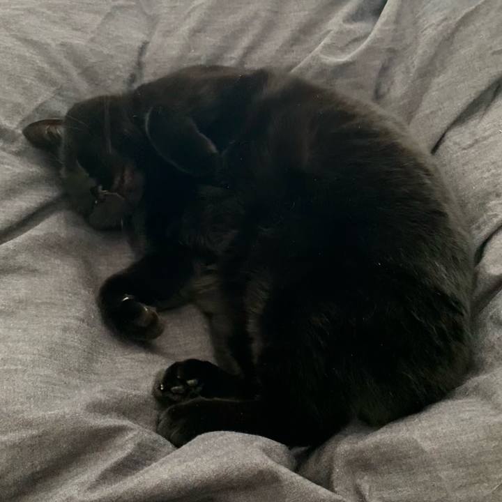 4587b542 d00e 491f a056 f98692187a6f 1769326074537