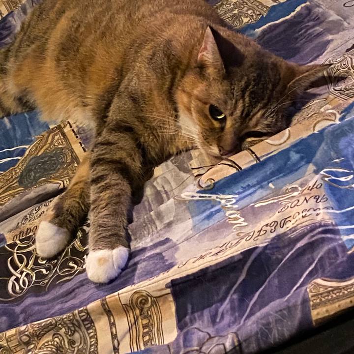 4587d340 0cd8 407d 9c4e e7c46d5138db 1595688454279