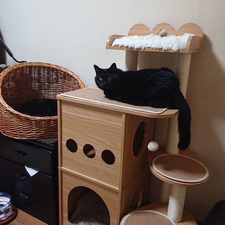 45882284 c108 4853 94b4 71f62b734b5c 1659089886736