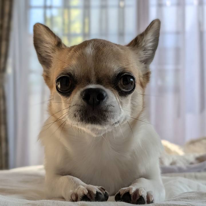 458826cb 9b14 442e a414 d241721eab8f 1725444251533