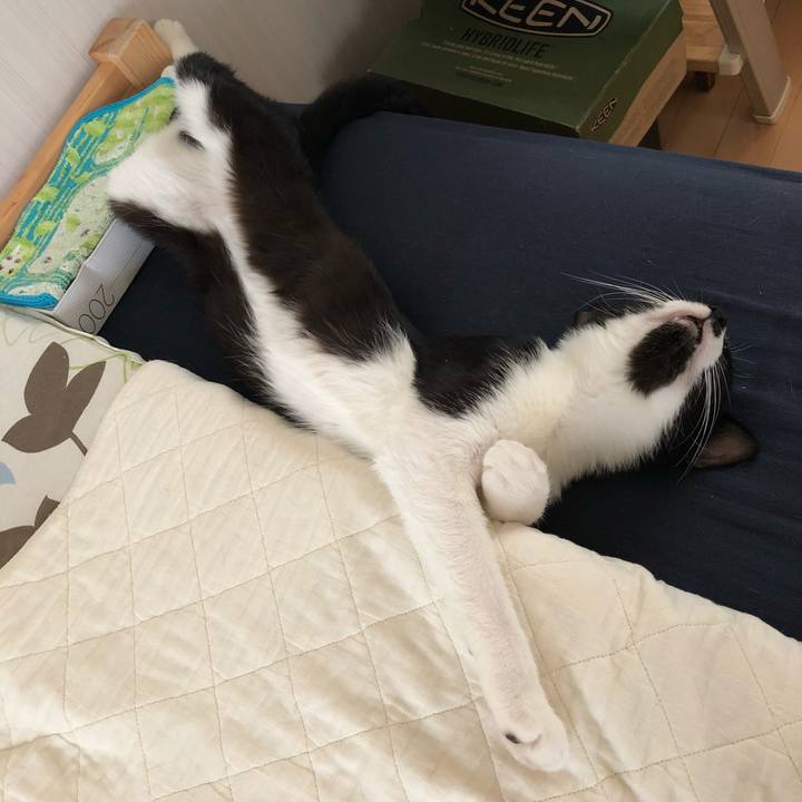 45882a7f 80e5 4bd8 81e2 67b158df6479 1532673914241