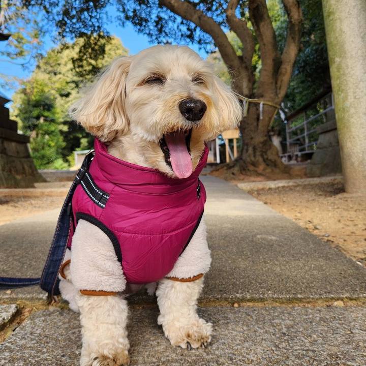 4588602b e958 43b9 8355 4a49ad73231d 1769741219769