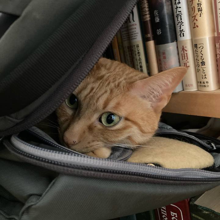 45889c19 bfc9 499f a40b 4cd846b8b101 1620434128516