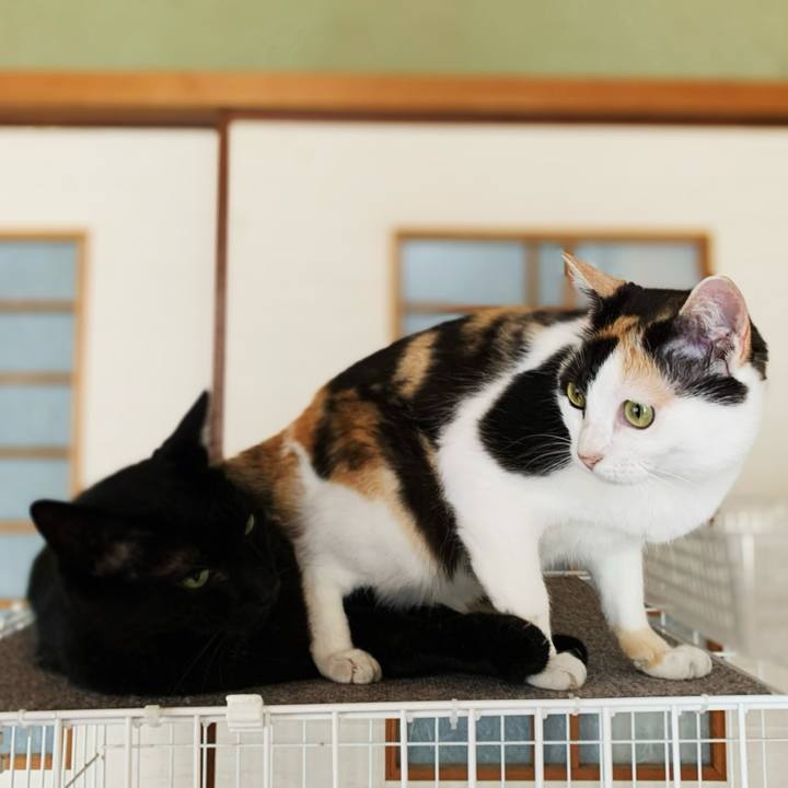 4588aa06 2385 4f52 8cf2 9d2f9770e47e 1597982091642