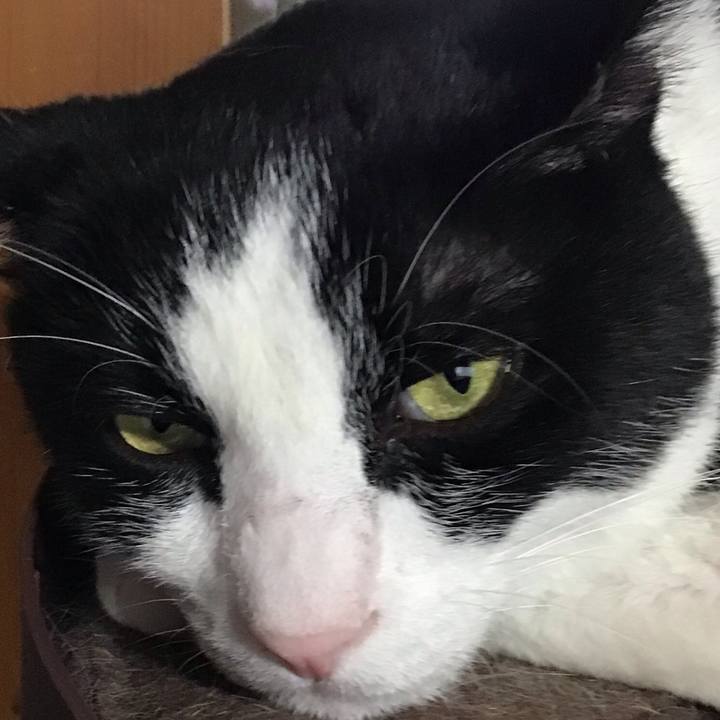 4588c004 d2db 459c 814a 48ac098aed9a 1754722367094