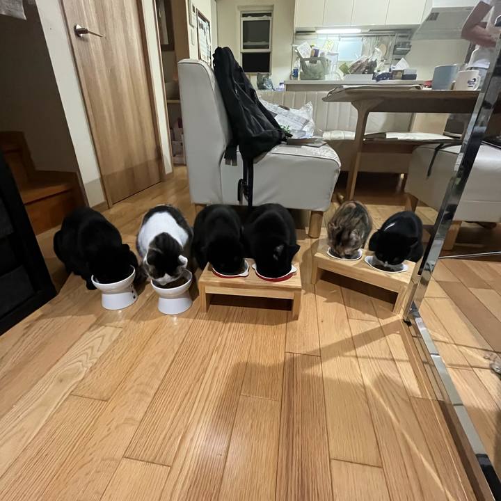 4588f31e 5d04 4277 9d3e 2b60017fa8f4 1664182555969