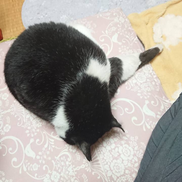 458943b0 f4ff 4839 84a1 67cebccc907f 1673704906600