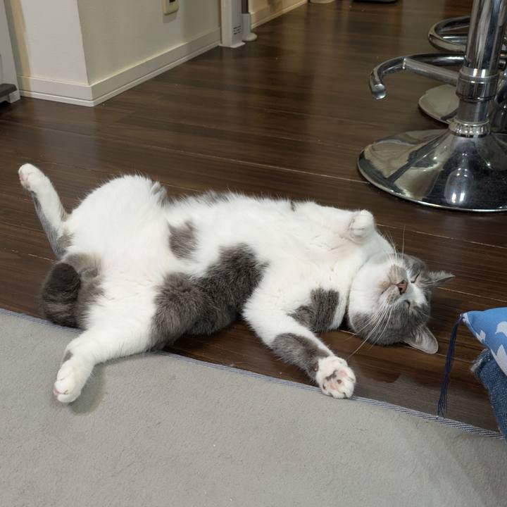 45894564 f2cc 433f 8734 e3a533b43af0 1751197315838