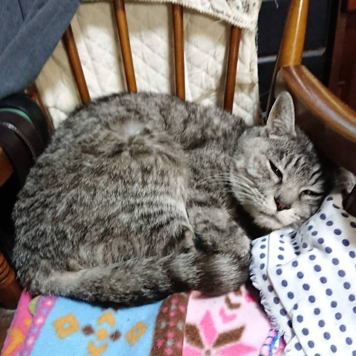 4589469a 5baa 43cc 8af6 4b94ba592efd 1605526796675