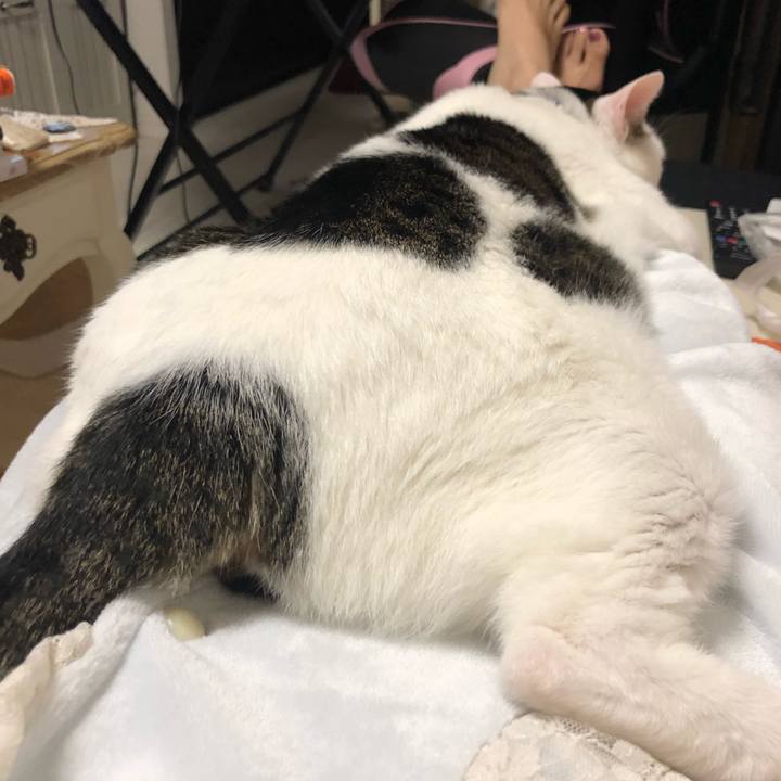 4589b24d 1535 4eab 9fb5 b28bdf503c1e 1628098276624