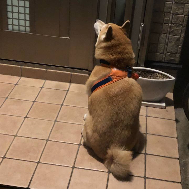 4589e73d 6cc9 460d 994d 52afc0fbf320 1573033276271