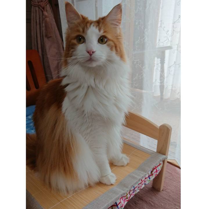 4589e7c7 e216 48a4 85e1 fd719c920890 1560224044777