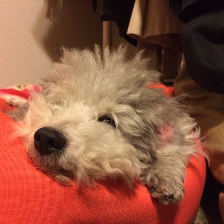 458a23ba 214d 48ea b1b0 c5239b132e62 1513551566355