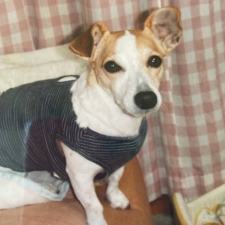 458a40c1 7b22 454e a92a 3618fe7d7d26 1646185433692