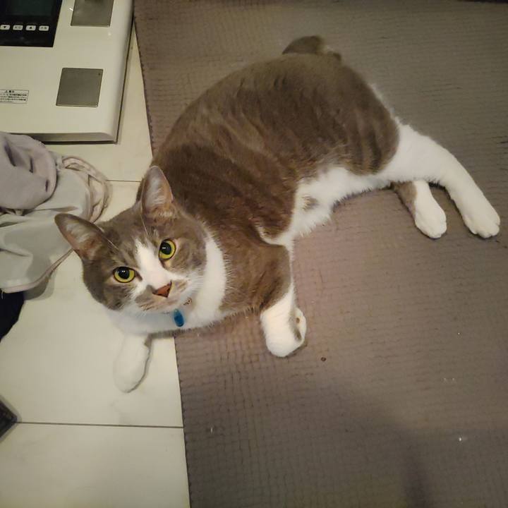 458a6be9 70fb 46fa a697 7f4449ba572b 1681253532933