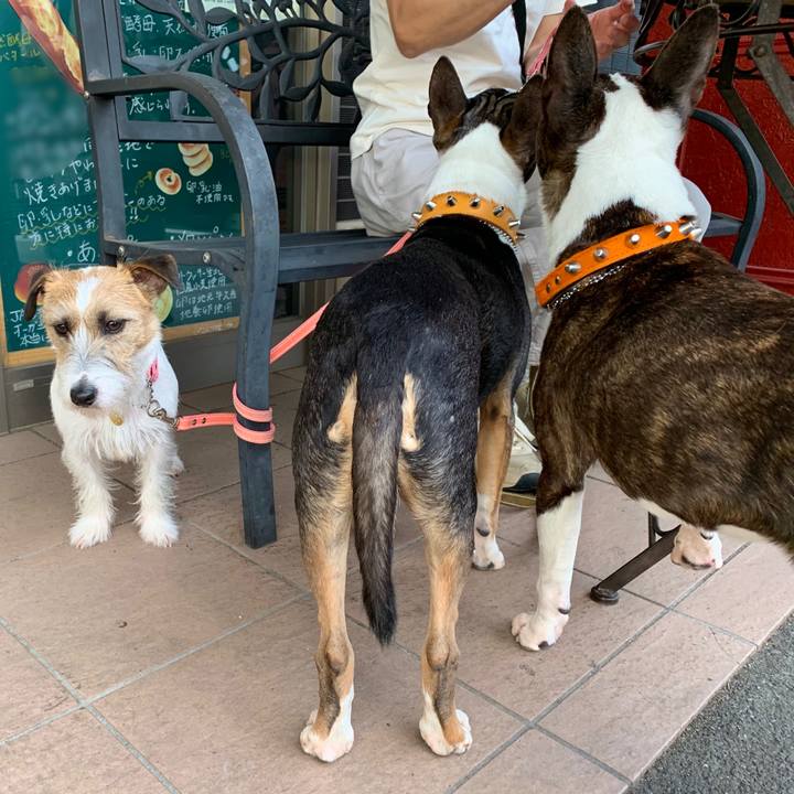 458ac7b5 dc4b 415b 94d0 ef3e4f6e245a 1589724825266