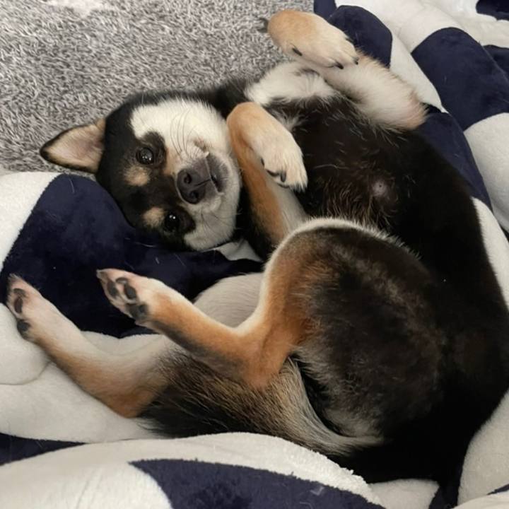 458ae945 8c37 4749 afe5 fbf431cdbd8f 1646211015694