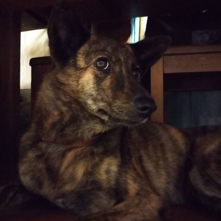 458b0023 e22c 4cd6 8dd5 e41b7ec73dca 1537880190421