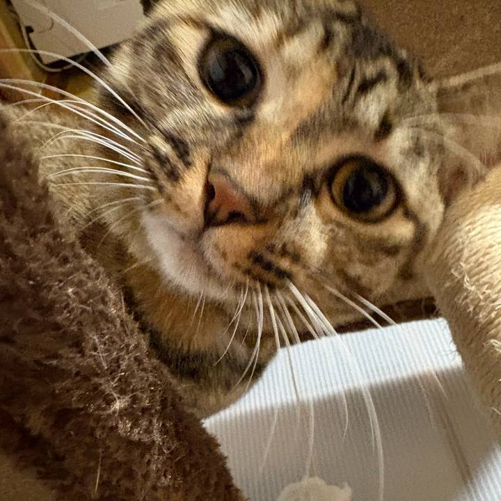 458b2c5e db2f 4b00 9b68 481253d48948 1763247357290