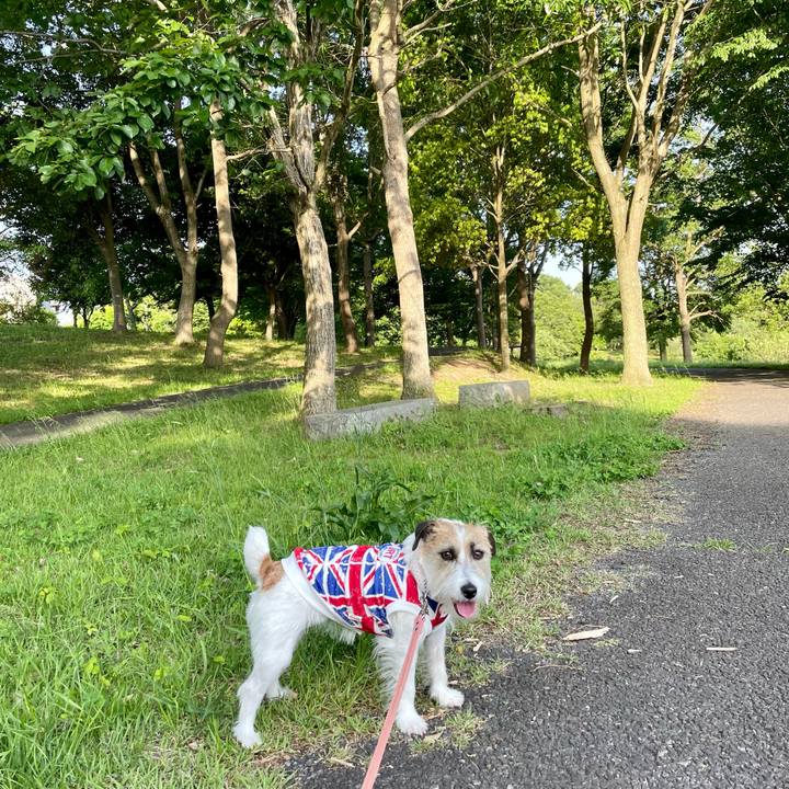 458b66d5 7483 493e 8a7d 82ff0c0d7034 1684316450796