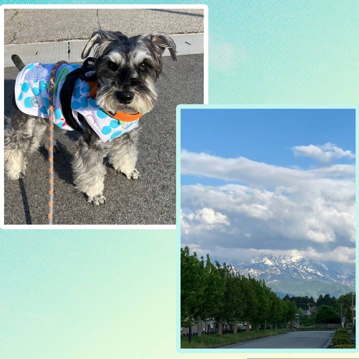 458b6f71 f610 4900 9ebd c37ab2de990a 1746361830804