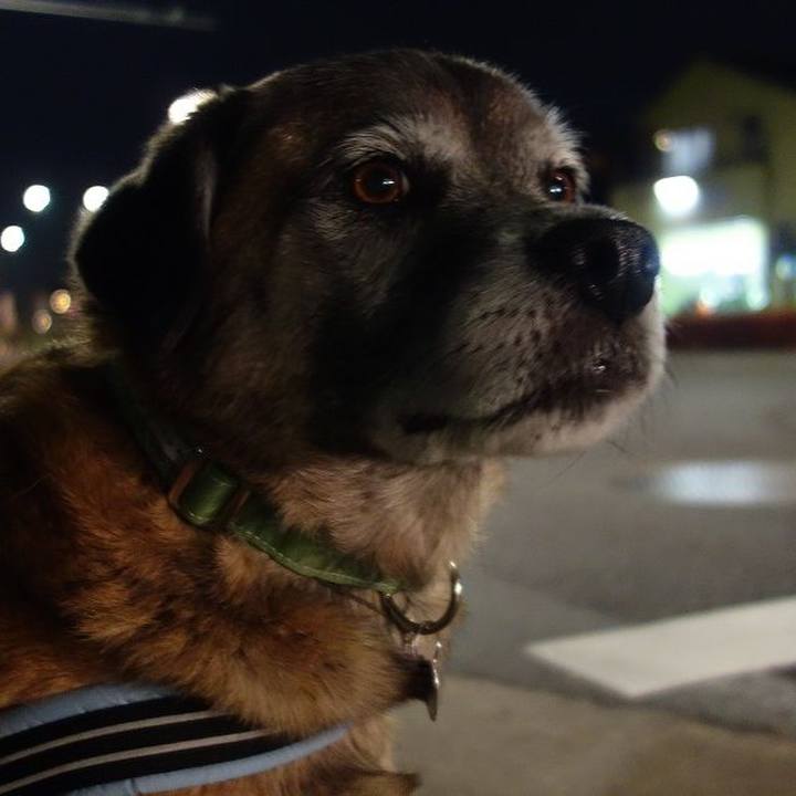 458b70b7 d049 45d2 b662 59b34f8f7291 1513421945689