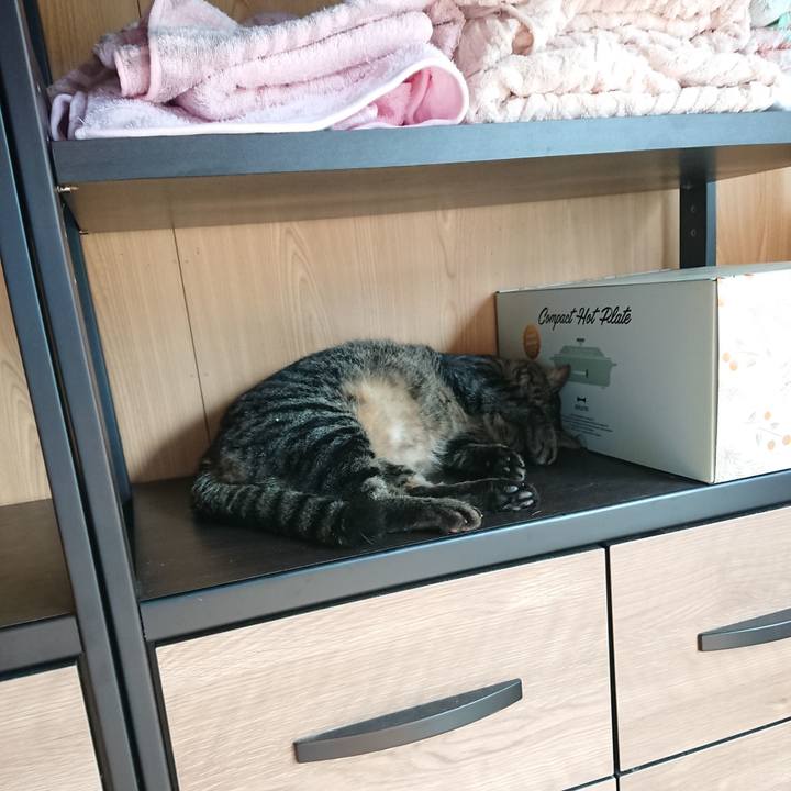 458b806e d8fb 4540 bb12 29cc19be1d09 1662511960499