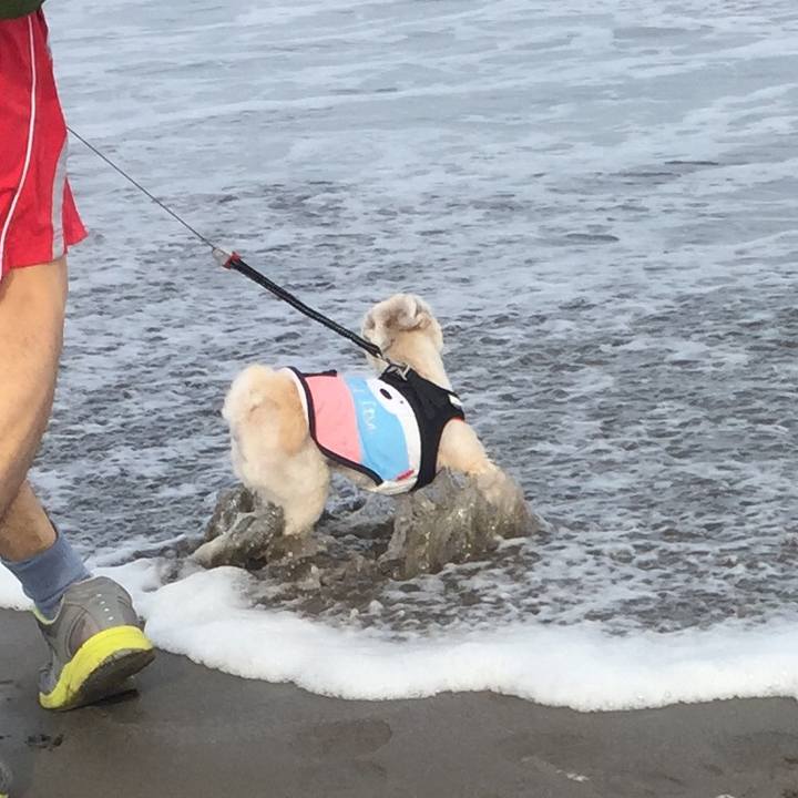 458bb7eb 7aa0 4f69 bc9d c8eaff2cce06 1525077812150