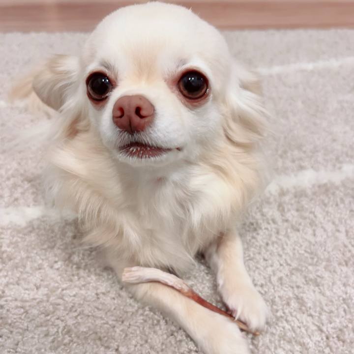 458bbad0 7f17 4b04 97f3 7a037c1078c2 1712061591588