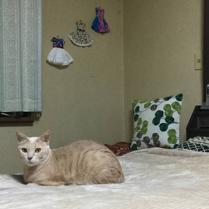 458bc8db 2ca5 44d0 8b75 b18bdb83144b 1541579946583