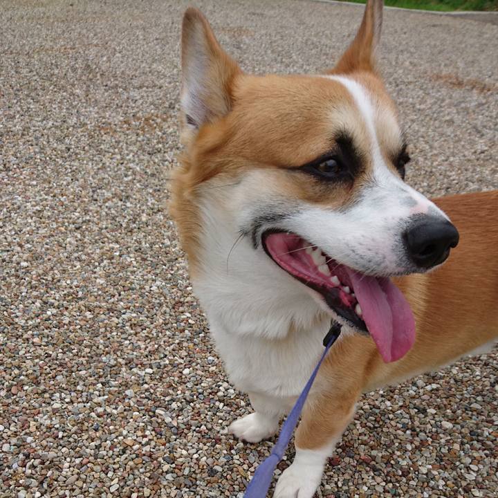 458be105 18bf 4c67 9ea7 310a30f08741 1594628828307