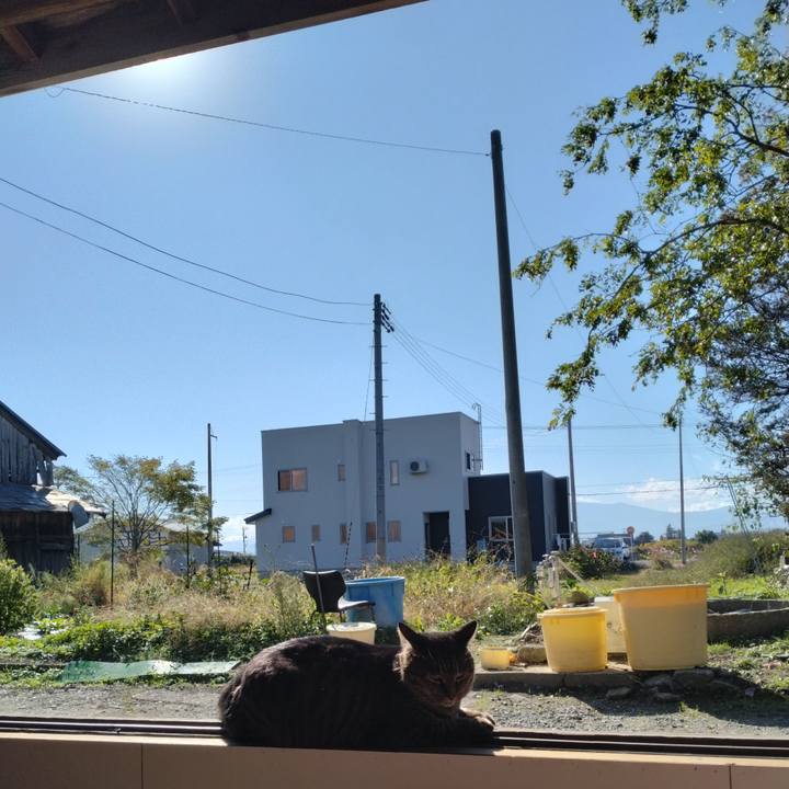 458bffcd c2e1 4d14 8021 e6bc2fa68f0e 1666139064261