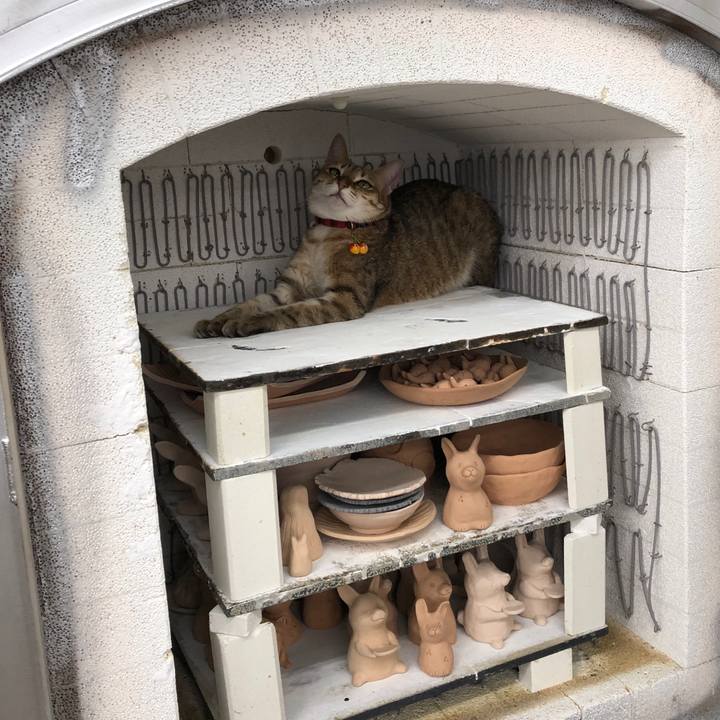 458c07a9 d163 4633 b72f f242041631ec 1669018461451