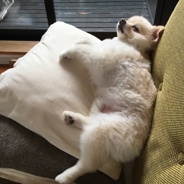 458c1301 e6ea 4116 af9c ea253ab74275 1596273529440