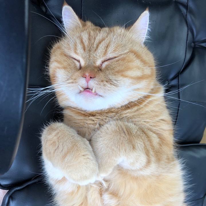 458c2152 9e96 4523 beaf bf205820bcdd 1546222017500