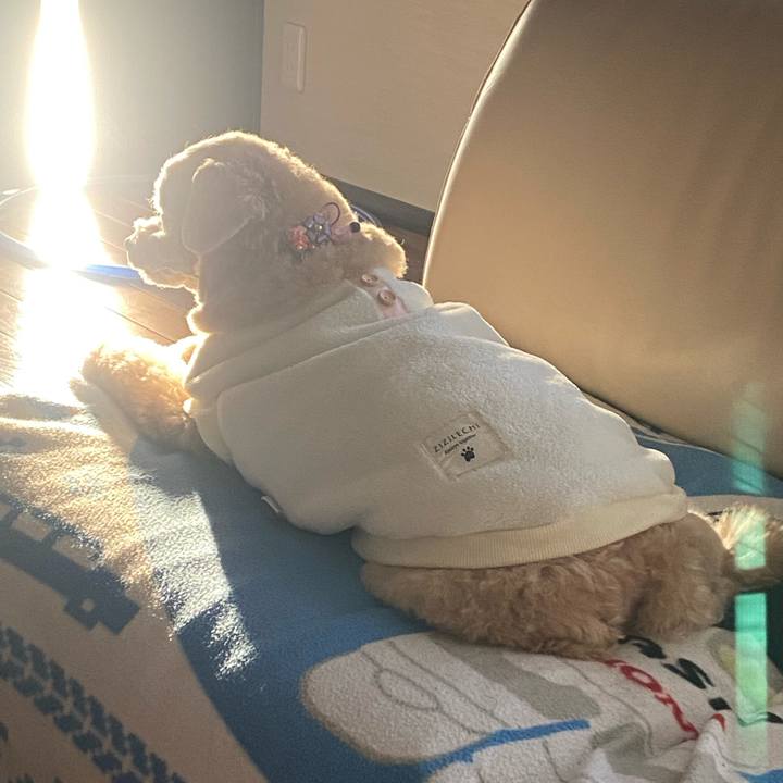 458c3cfe 7b4e 4969 8e80 24a1fb1194f5 1642333987875