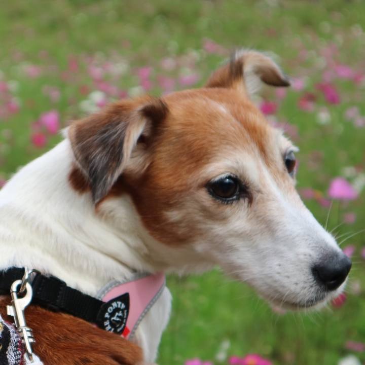 458c6301 17bd 401e a06e 888391d6a43e 1571715648052