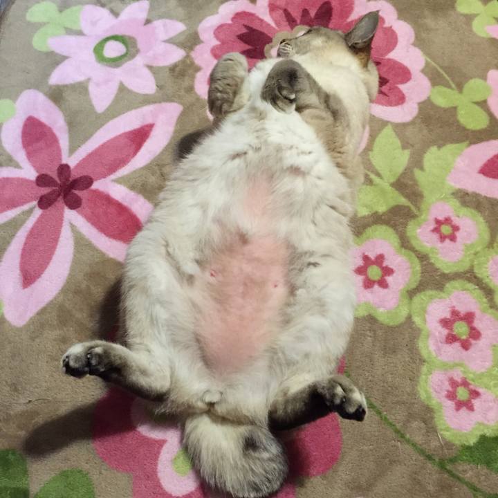 458c7901 7e3a 4ca9 ab41 3b640ca31e5c 1517658574530