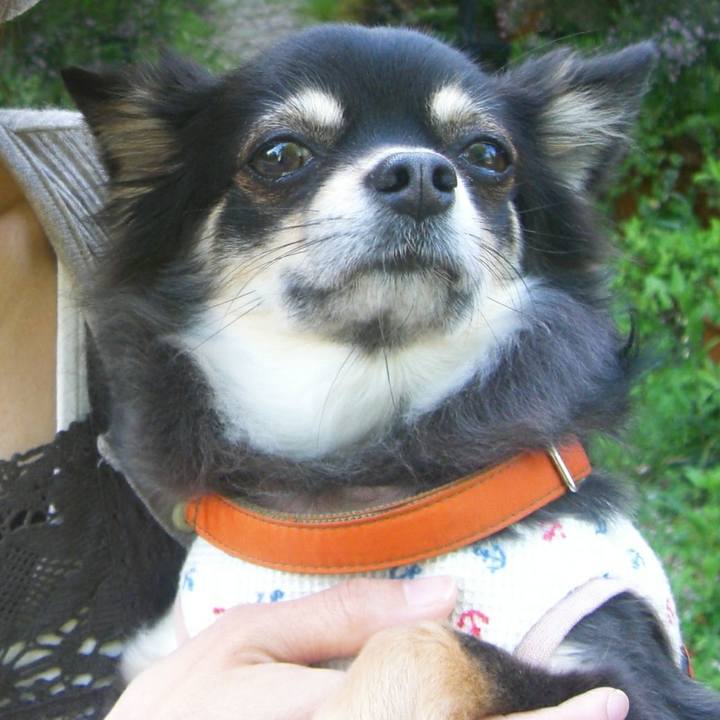 458c83a5 dcae 49eb 9ae0 6f656fe26d2a 1579306157084