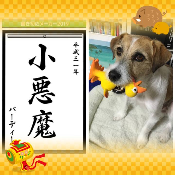 458c83dd 7c26 49bd bd1c ac852c68ced0 1546429131996