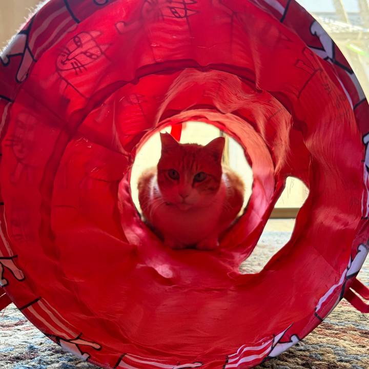 458c86fc 7f30 4667 9bc5 dc598928c73a 1774248800100