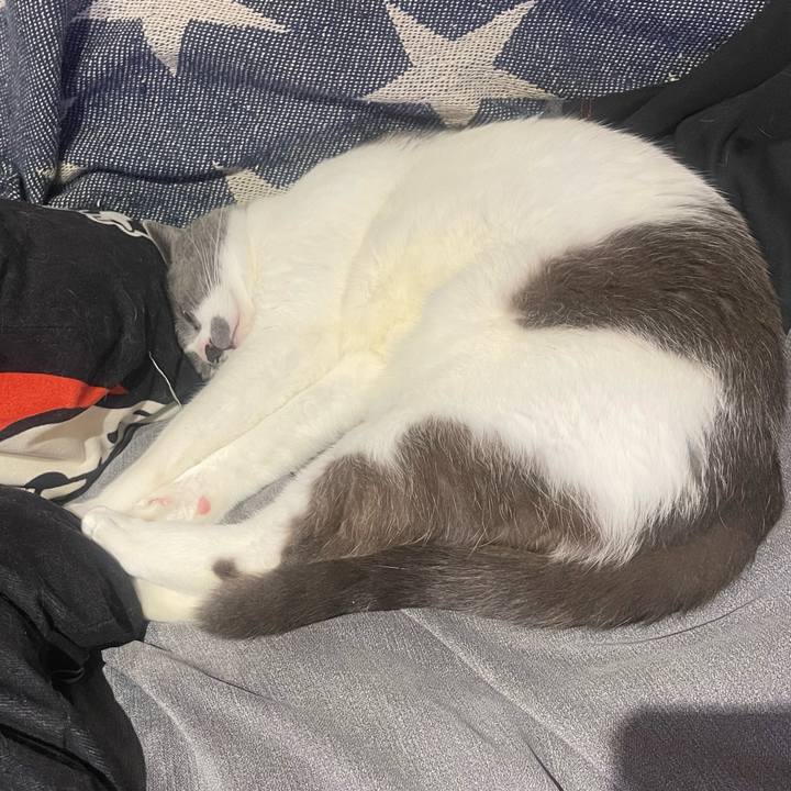 458c9152 818a 4b66 985c c9c97e551661 1651157453530