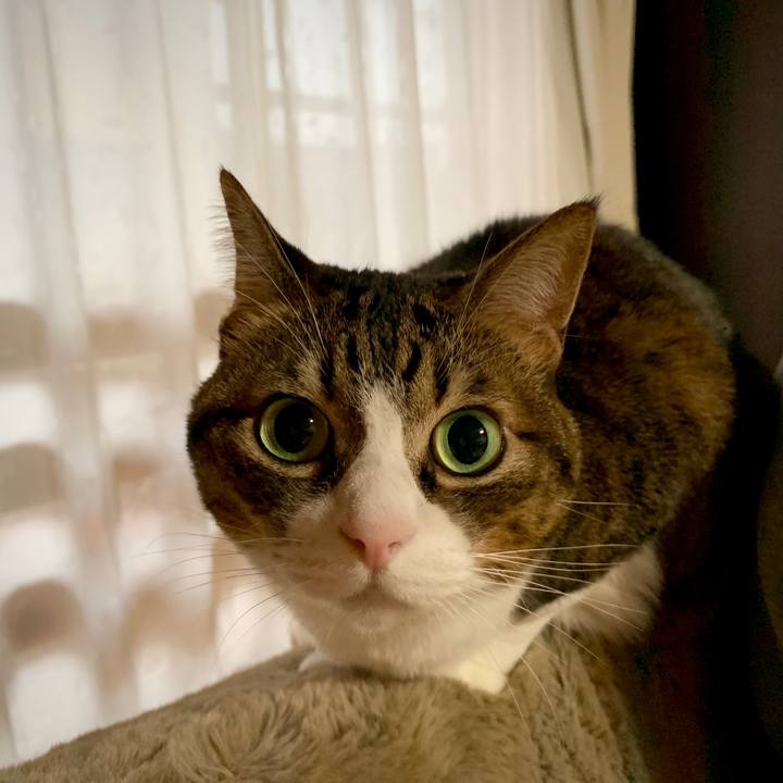 458ce39e 2645 45de 85e8 b704daf153c4 1577142022969