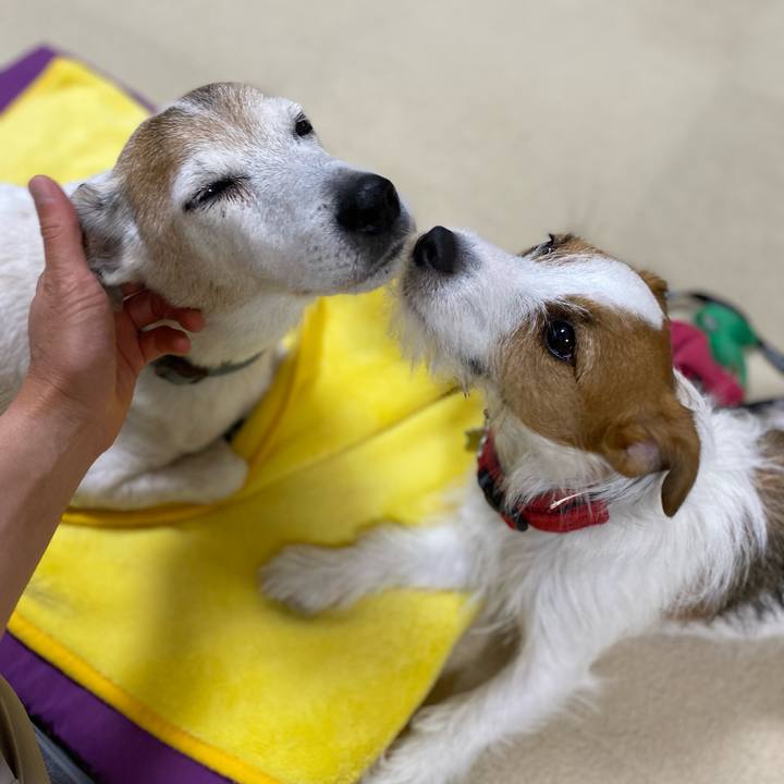 458d35c3 d027 460a 9920 fa6a087302e4 1656597793328